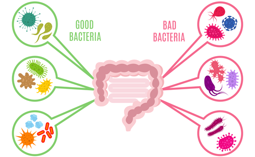 Microbioma