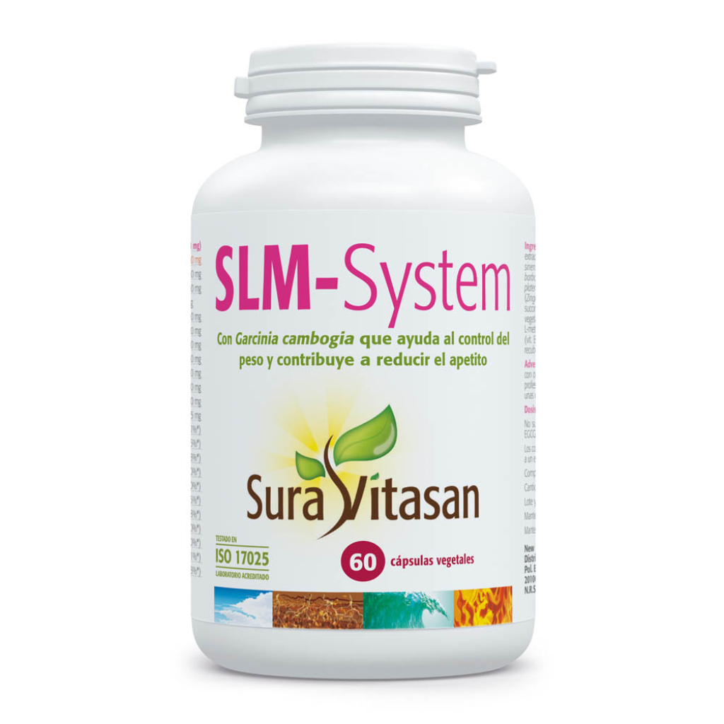 SLM-System