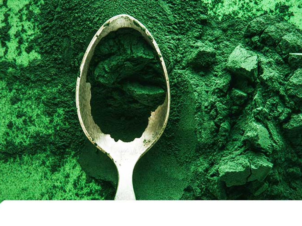 Espirulina: El Superalimento Definitivo - Beneficios, Usos y Precauciones