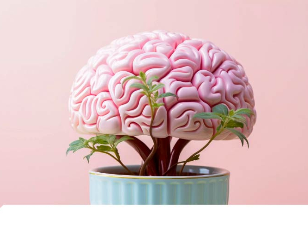 Representación creativa del cerebro en una maceta, simbolizando el efecto del GABA en la salud mental y el equilibrio neuronal