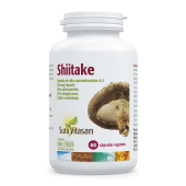 Shiitake