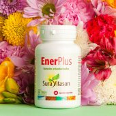 Enerplus